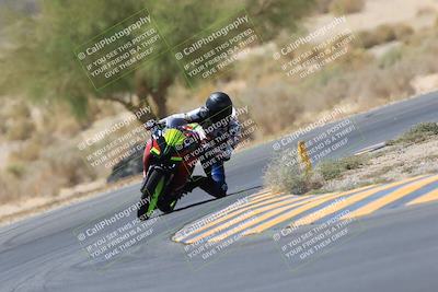 media/May-14-2023-SoCal Trackdays (Sun) [[024eb53b40]]/Turn 5 Tree of Life (1125am)/